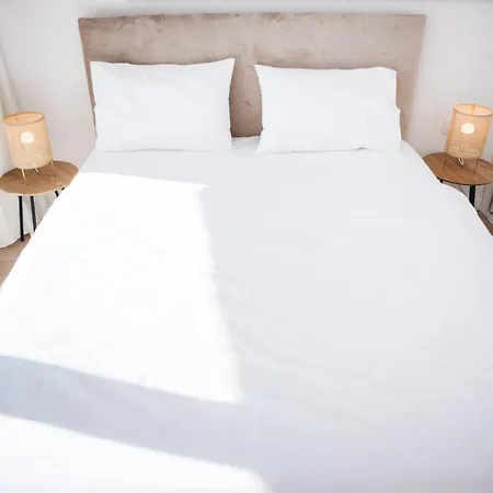 Vila Olive Tree House